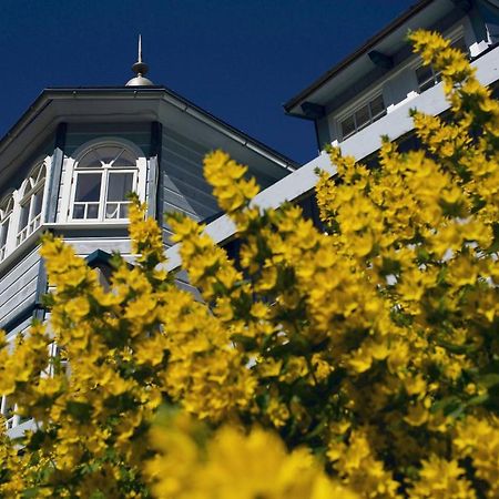 Penzion Modry Pavilon Dolní Malá Úpa Exteriör bild