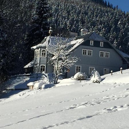 Penzion Modry Pavilon Dolní Malá Úpa Exteriör bild
